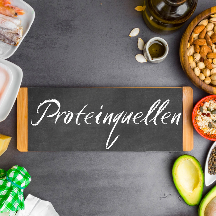 Entdecke die besten Proteinquellen für deine Ernährung - German Muscle Nutrition