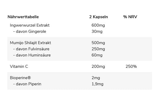 GN Shilajit PRO 60 Kapseln