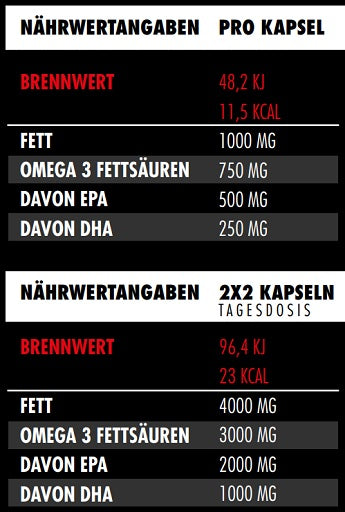 Big Zone Omega 3 Fury Triglyceride 120 Kapseln - German Muscle Nutrition