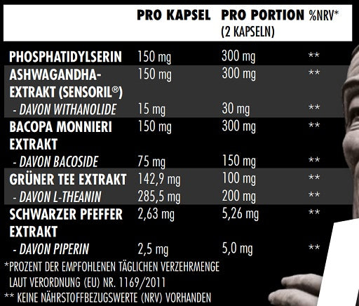 Big Zone C.S.A. 60 Kapseln - German Muscle Nutrition